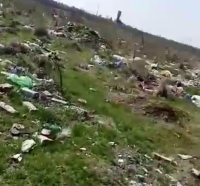 Опасно пасище за животни край град Левски