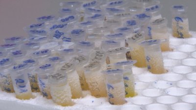 21 са новите потвърдени случаи на Covid-19 в България (Обобщение)