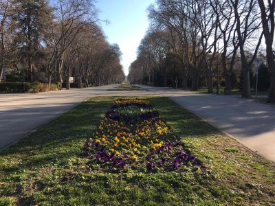 Морската градина във Варна се събужда за нов живот (СНИМКИ)