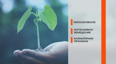 ООН: Натискът на човека върху биоразнообразието увеличава пандемиите