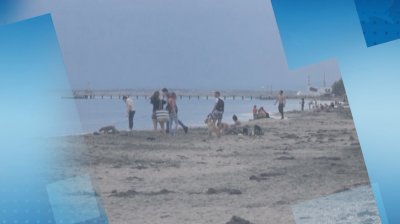 Туроператори поискаха ясни правила как ще работят в условия на коронавирус