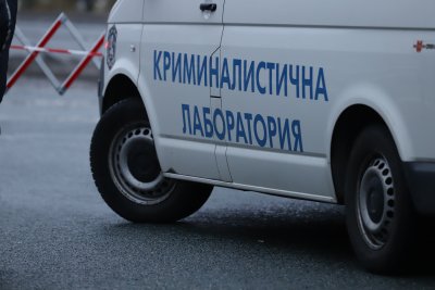 Инцидент в Ново село: Откриха мъртва жена, нахапана от кучета thumbnail
