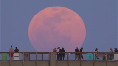 Розова луна: Небесно шоу над Флорида