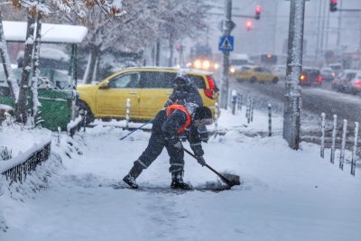 Вятърът в София достигна 76 км/ч, основните пътни артерии са почистени от снега