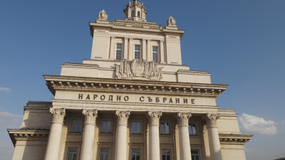 Антирекордна 2024 г. в политиката - само 3 приети закона и 42 образувани дела в Конституционния съд
