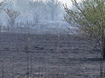Пожар изпепели над 1000 декара прасковени насаждения край сливенския квартал "Речица"