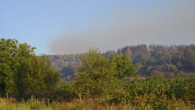 Сунгурларе в хватката на пожара: Битката с огъня продължава