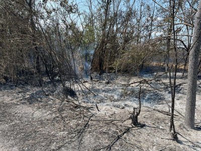 Продължава гасенето на пожара в Пирин, огънят е засегнал от 10 до 15 декара в Националния парк