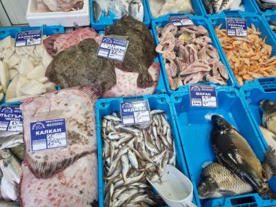 Цената за килограм шаран за Никулден надхвърли 12 лева