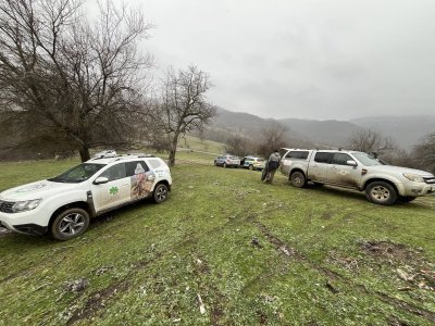 Разследват смъртта на седем лешояда в Котленския балкан