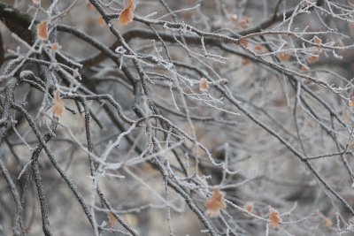 Нова студена вълна обхвана България – до кога ще продължат ледените дни?