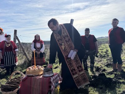 Трифон Зарезан в с. Александрово: Българи и чужденци рамо до рамо в лозята