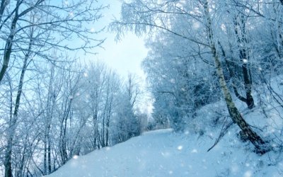 Обилни снеговалежи оставиха хиляди хора без ток в Словения и причиниха проблеми с трафика