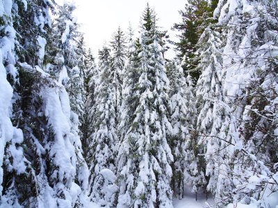Много добри условия за туризъм в планините утре