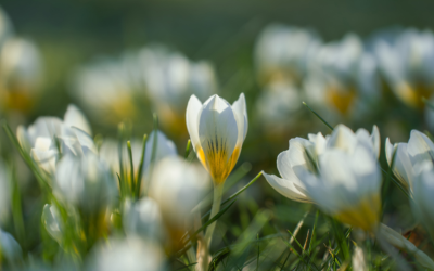 Ще се радваме на по-топло време от обичайното за сезона, но ще има и валежи от дъжд