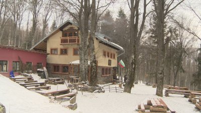 Екшън на Витоша: Бивш хижар арестуван след заплахи, изстрели и марихуана в хижа Камен дел