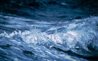 Турските власти са унищожили морски дрон американско производство, изхвърлен на Черноморския бряг