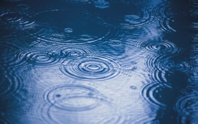 Продължителни валежи и силен вятър у нас през следващите дни