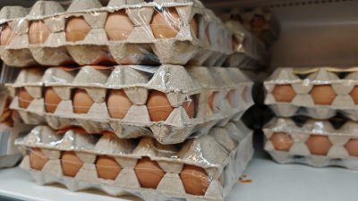 Великден с по-скъпо агнешко месо и яйца – производители предупреждават за натиск върху цените