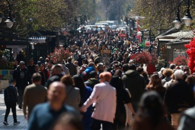 Данните на социолозите: Какви са обществените нагласи дни преди изборите?