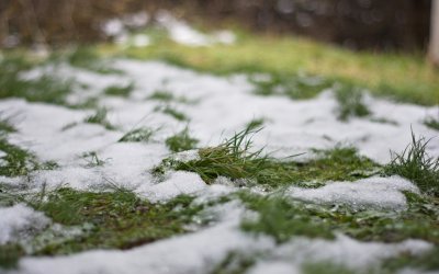 Неочаквани снеговалежи и бури засегнаха Румъния в разгара на лятото