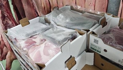 Привлякоха като обвиняеми двамата шофьори, превозвали марихуана и кокаин в Ловеч