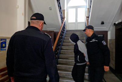 2 години затвор и глоби от 1000 евро за мъж и жена, измъчвали животни
