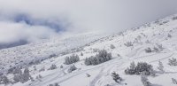 Слънце и зимни емоции на Боровец днес