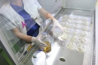 Откриха манган над нормата във водата в Брестовица