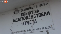 Ветеринар от Несебър умъртвил куче и пребил служителка в приюта