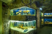 3D разходки из Природонаучния музей в Пловдив