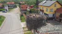 Щъркелово реалити: Интернет полудя по живота на Драго и Драга