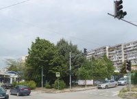 Шофьор без книжка блъснал жената и детето на пешеходната пътека във Варна. Задържаха го