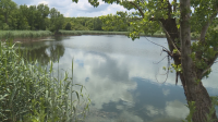 Мъртва ръба в езерото в русенското село Щръклево